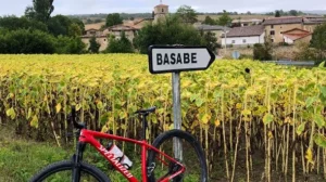 Basabe - Valdegovía / Gaubea